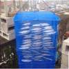 Lồng Phơi Thực Phẩm & Cá Khô Chống Ruồi Muỗi, Lưới PE Dễ Vệ Sinh, Gập Gọn Tiết Kiệm - Giá 63k 6