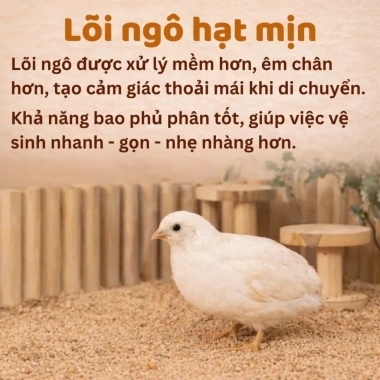 Lót Chuồng Mịn Cao Cấp Cho Chim, Hamster, Gà Rutin – Ít Bụi, Khử Mùi, Dễ Vệ Sinh, Giá 45.760₫ 4