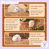 Lót Chuồng Vỏ Hạt Óc Chó Nhuyễn Mix Hoa Khử Mùi Giải Nhiệt, Làm Mát Guaijuan Cho Hamster và Thú Nhỏ - 43k 4