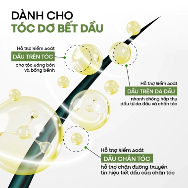 Lotion Kiềm Dầu Happy Hair Day 100ml - Tóc Bồng Bềnh, Giảm Bết, Giá 215.000 VND