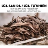 Lũa san đá 500g tiểu cảnh Layout - Trang trí sân vườn, Giá ưu đãi 45.000 VND