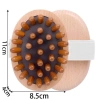 Lược Massage WOOLYNOOK Nhựa - Chải Kinh Tuyến Huyệt, Máy Mát Xa Túi Khí 31.200₫ 2
