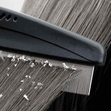 Lược thép không gỉ loại bỏ chấy rận - Dụng cụ hiệu quả, giá chỉ 43.888 VND