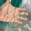 Lưới dù cá thu củ 50m x 2m - Lưới rào gà chắn vườn, mắt lưới 1 tất, giảm giá 22% 5