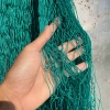Lưới dù cá thu củ 50m x 2m - Lưới rào gà chắn vườn, mắt lưới 1 tất, giảm giá 22% 6