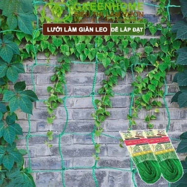 Lưới giàn cây leo 90x180cm - Bền, lắp nhanh, không viền, bầu mướp - 22.442₫ 9 Lưới giàn cây leo 90x180cm - Bền, lắp nhanh, không viền, bầu mướp - 22.442₫ 9