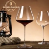 Ly Vàng Thủy Tinh Pha Lê Cao Cấp 450ml và Decanter Thiên Nga 1.500ml - Bình Thở 5