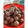 Macca 1.5kg Loại 1 Size To Ngon Thơm Béo - Giá chỉ 385.000đ, giảm tới 80.850đ 2