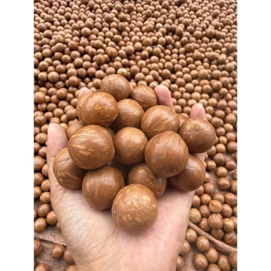 Macca 1.5kg Loại 1 Size To Ngon Thơm Béo - Giá chỉ 385.000đ, giảm tới 80.850đ 3 Macca 1.5kg Loại 1 Size To Ngon Thơm Béo - Giá chỉ 385.000đ, giảm tới 80.850đ 3