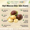 Macca Đặc Sản Kami - Hàng Xuất Khẩu Thơm Ngon Bùi Ngậy, Giá Chỉ 150.000 VNĐ 5