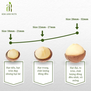 Macca Đak Lak Sấy Lạnh 1kg (2 túi/hũ) - Hạt dinh dưỡng Kim Anh Nuts, Giá ưu đãi 260.000₫ 3 Macca Đak Lak Sấy Lạnh 1kg (2 túi/hũ) - Hạt dinh dưỡng Kim Anh Nuts, Giá ưu đãi 260.000₫ 3