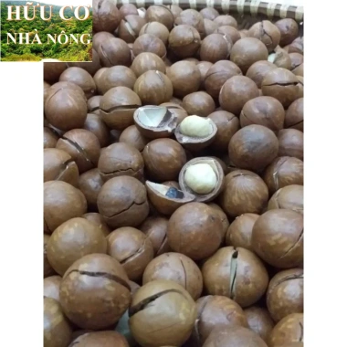 Macca Lâm Đồng 1kg - Hàng mới tươi ngon, giảm giá chỉ 93,100₫