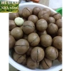 Macca Lâm Đồng 1kg - Hàng mới tươi ngon, giảm giá chỉ 93,100₫ 2