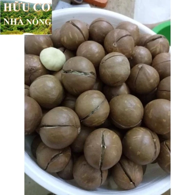 Macca Lâm Đồng 1kg - Hàng mới tươi ngon, giảm giá chỉ 93,100₫ 2 Macca Lâm Đồng 1kg - Hàng mới tươi ngon, giảm giá chỉ 93,100₫ 2