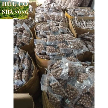 Macca Lâm Đồng 1kg - Hàng mới tươi ngon, giảm giá chỉ 93,100₫