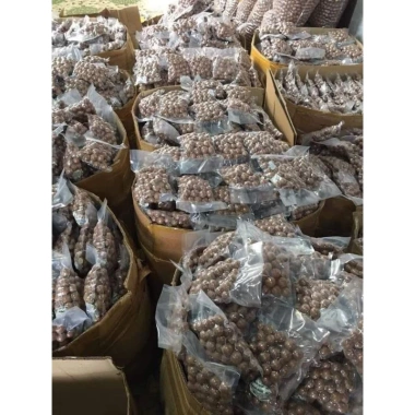 Macca Lâm Đồng 1kg - Hàng mới tươi ngon, giảm giá chỉ 93,100₫