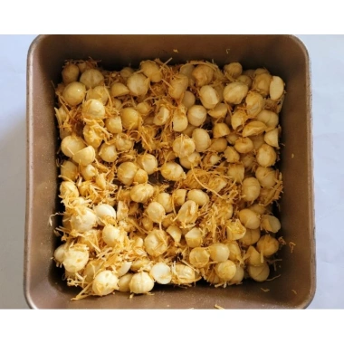 Macca nhân nướng mật ong caramel dừa khô 250g Túi zip hoặc Hũ PET giảm giá 182.000₫ 7