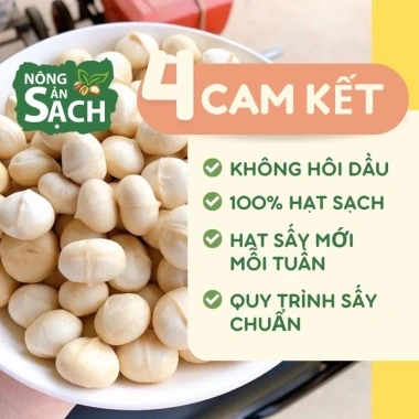 Macca size đại 500gr - Chứng nhận ATTP, giá ưu đãi 115,000₫, giá gốc 139,150₫ 4
