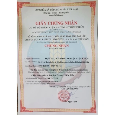 Macca size đại 500gr - Chứng nhận ATTP, giá ưu đãi 115,000₫, giá gốc 139,150₫ 5