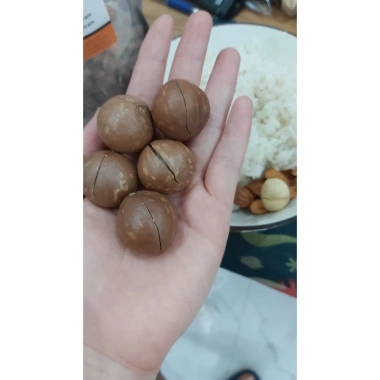 Macca size đại 500gr - Chứng nhận ATTP, giá ưu đãi 115,000₫, giá gốc 139,150₫ 8