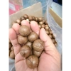 Macca Tân Bảo Ký Huế – Sức khỏe vàng, giá ưu đãi 109.000đ (giảm từ 135.160đ) 3