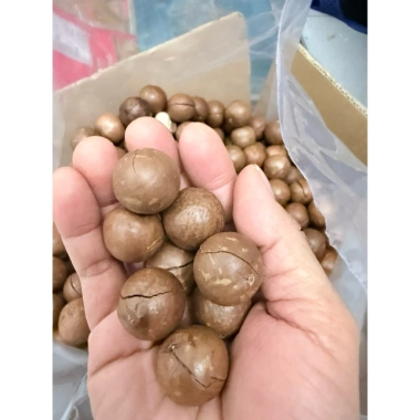 Macca Tân Bảo Ký Huế – Sức khỏe vàng, giá ưu đãi 109.000đ (giảm từ 135.160đ)