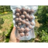 Macca to giòn ngậy, bùi béo 500g - Hạt dẻ thơm ngon, giảm còn 66.000₫ 9