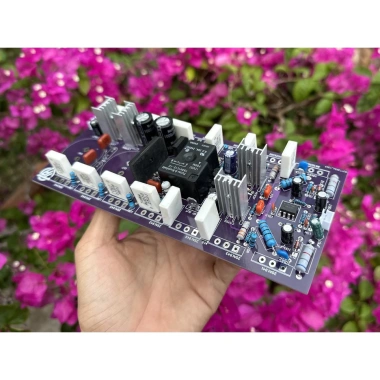 Mạch Công Suất 12 Sò Liền Nguồn Pre Tích Hợp 800W - Hiệu Suất Cao, Giá 346.804₫