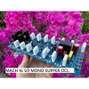 Mạch công suất 16 sò tích hợp bảo vệ loa - Độ bền cao, ổn định, giá ưu đãi 324.967đ 5