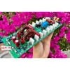 Mạch công suất CLASS HD 16 - Sò bản ngắn, hiệu năng cao, giảm giá 22% chỉ 719.302₫ 7