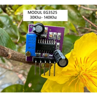 Mạch dao động EG3.525 30-145kHz chính hãng - Tần số rộng, giảm giá 48.548 VND