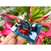 Mạch Lọc Sub Nguồn Đơn 5-30VDC - Độ ồn thấp, hiệu suất cao, giá chỉ 41.099₫