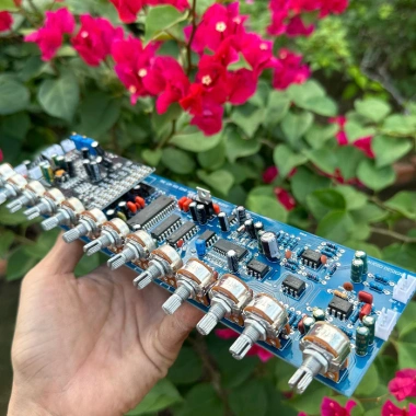 Mạch Pre Loa Kéo Echo Reverb V1.6 - Chip M50.195 Anti Feedback, Giá 603,698₫