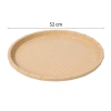 Mâm nhựa 52cm siêu rộng, mẹt nhựa size đại song, dày đẹp – Giá chỉ 59.290đ 10