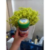 Mắm Tép Ba Làng Thanh Hóa Đặc Biệt 400g Giá chỉ 41.000 VNĐ, ưu đãi lớn 4