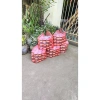 Mận Gừng Mộc Châu Sấy Dẻo 200g - Snack Dinh Dưỡng, Giá Chỉ 62.000₫ 6