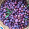 Mận máu Tây Bắc 1kg ủ đường - ngâm rượu, mận máu chó, tả van Lai Châu làm siro, giá ưu đãi 95.000 VND 4
