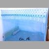 Màn mùng tuyn treo bốn góc hoa mai - Chống muỗi, tự bung, giá chỉ 104.000₫ 5