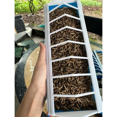 Máng Ăn Gà, Bồ Câu, Gà Con Chống Bới Nhựa PVC Cao Cấp - Giá 28.000₫ 6