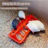 Máng Ăn Gà Rutin 20cm Chống Đổ, Chống Bới - Giá Ưu Đãi 26.532đ, Phù Hợp Gà Con và Chim Cút 6