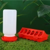 Máng Ăn Gà Rutin 20cm Chống Đổ, Chống Bới - Giá Ưu Đãi 26.532đ, Phù Hợp Gà Con và Chim Cút 7