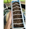 Máng Ăn Gà Rutin 3 Tấc PVC Dẻo Chống Bới - Giá 28.000₫, Tiết Kiệm cho Gà Con 6