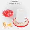 Máng Ăn Gà Rutin Bình Nước cho Gà Con và Chim Cút, Chất liệu bền, Giá 28.352 VND 3