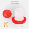 Máng Ăn Gà Rutin Bình Nước cho Gà Con và Chim Cút, Chất liệu bền, Giá 28.352 VND 4