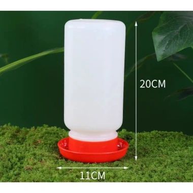 Máng Ăn Uống Gà Rutin & Chim Cút – Bình Nước Tiện Lợi, Giá Ưu Đãi 29,145đ