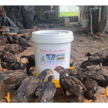 Máng ăn xô sơn siêu bền cho Gà, Vịt, Ngan - mới 100% giá ưu đãi 43.000 VND 2