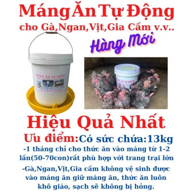 Máng ăn xô sơn siêu bền cho Gà, Vịt, Ngan - mới 100% giá ưu đãi 43.000 VND 3