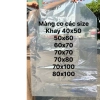 Màng Co 1kg Gói Giỏ Quà Tết Nhiệt Trong Suốt - Bọc Quà Cao Cấp Giá chỉ 74.974 VND