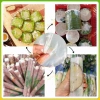 Màng nilon PP gói chả lụa, giò thủ, jambon chống dính, không thấm nước đa size - 46k 5
