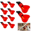 Máng Nước Nhỏ Cho Gia Cầm Chim Non, Gắn Xô Đường Ống Tự Động, Tiết Kiệm Chi Phí, Chỉ 10.000đ 5